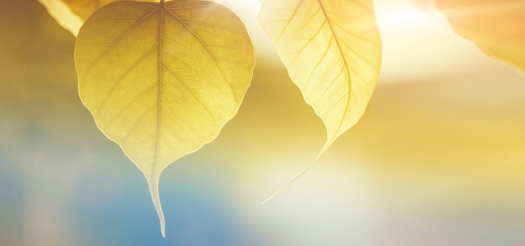 ภววิทยาของปัญหาในศาสนาพุทธของประเทศไทย